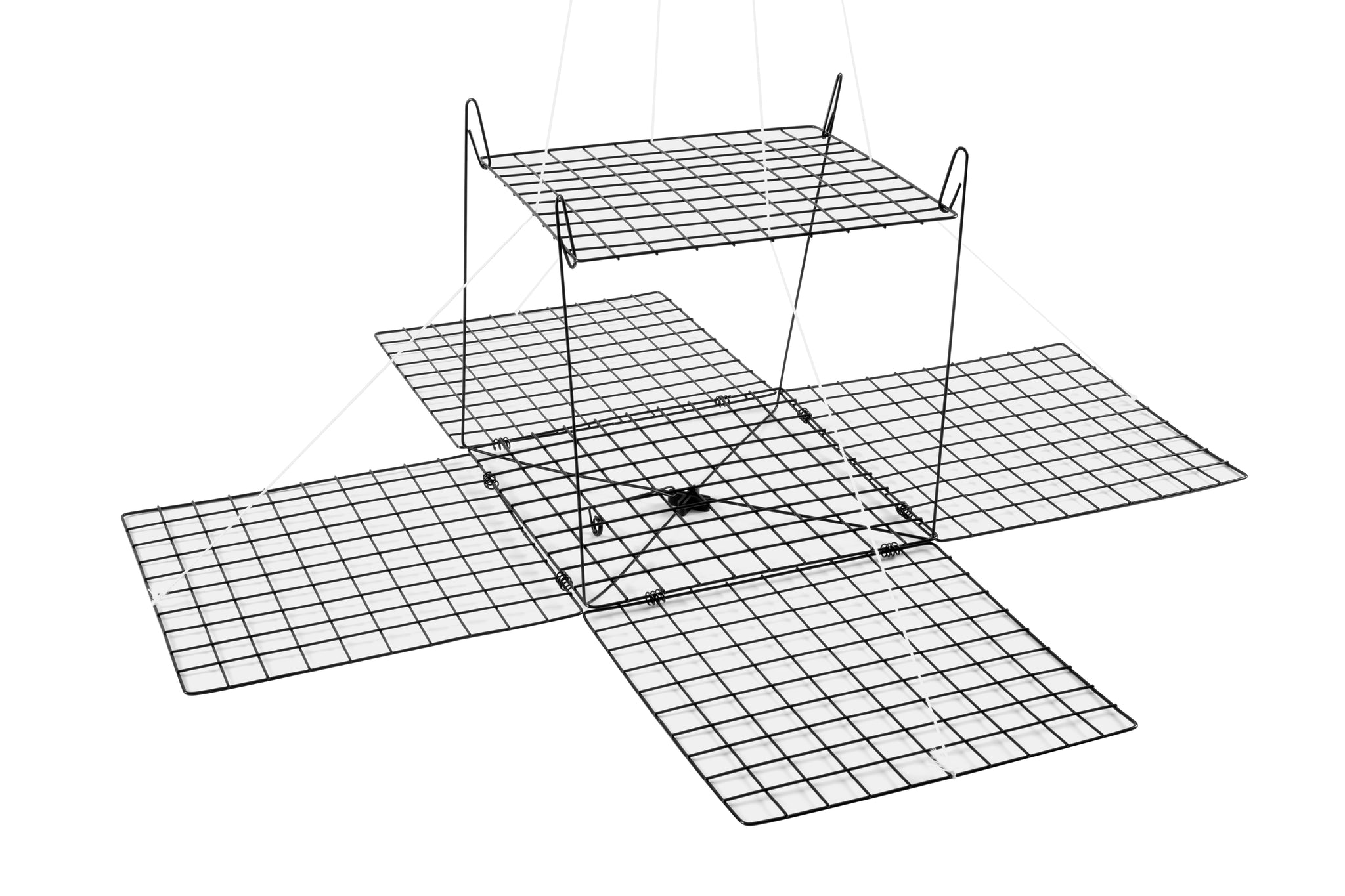 Tsunami Box Crab Traps